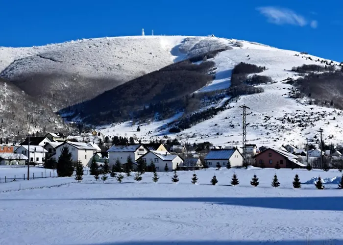 Апартаменты Mika *